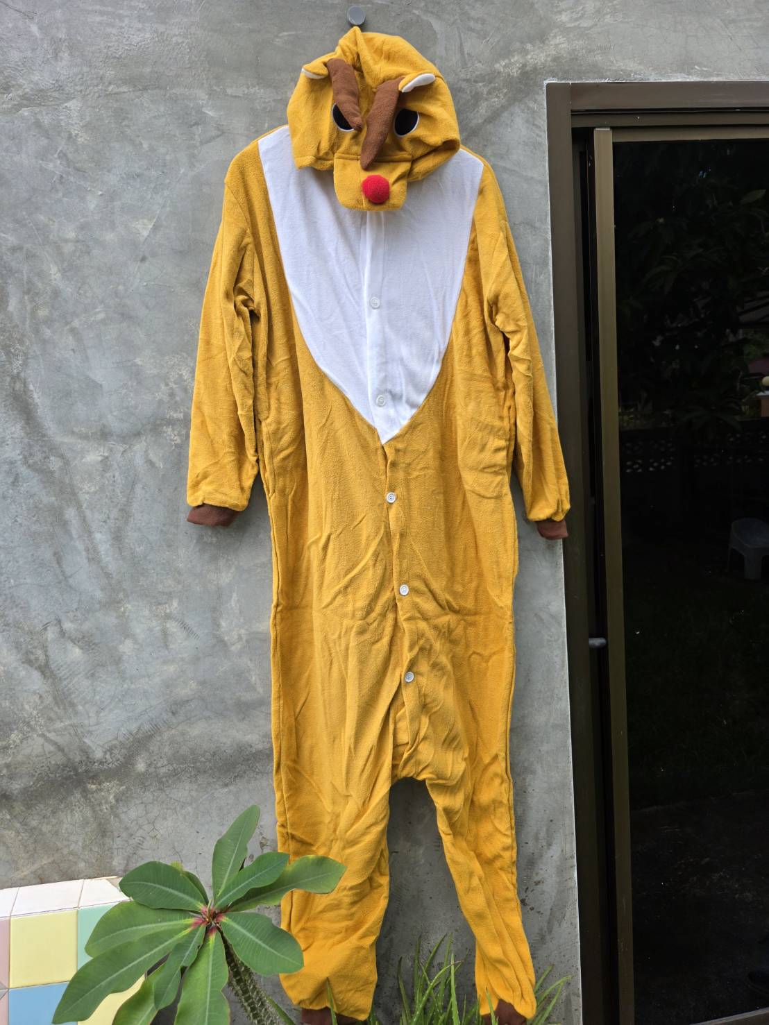 �ٻ�Ҿ���2 �ͧ�Թ��� : ++�������++�ش��ʤ͵��ҧ�ù����� �ش��ҧ�ù����� Raindeer �ش���ʵ���� �ش��ҧ���ʵ���� �ش�ù�����