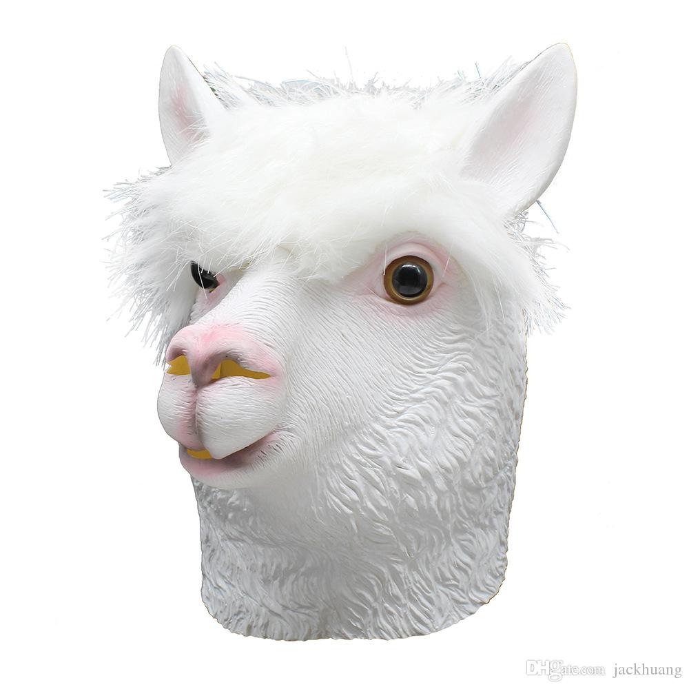 ٻҾ2 ͧԹ : ++++˹ҡҡŻҡ ˹ҡҡAlpaca 