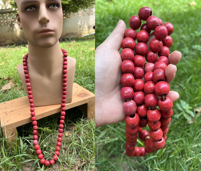 �ٻ�Ҿ���2 �ͧ�Թ��� : ������觷ء�� ����»�Ф�����˭�18��� ������١��Ф� ��ФӾ�жѧ������ ������� 50cm