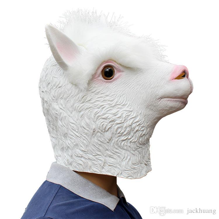 ٻҾ4 ͧԹ : ++++˹ҡҡŻҡ ˹ҡҡAlpaca 