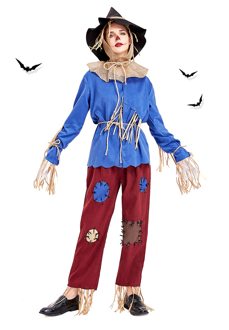ٻҾ4 ͧԹ : ++++駪˭ԧ شع  scarecrow costume The Wizard of Oz ͧͫ