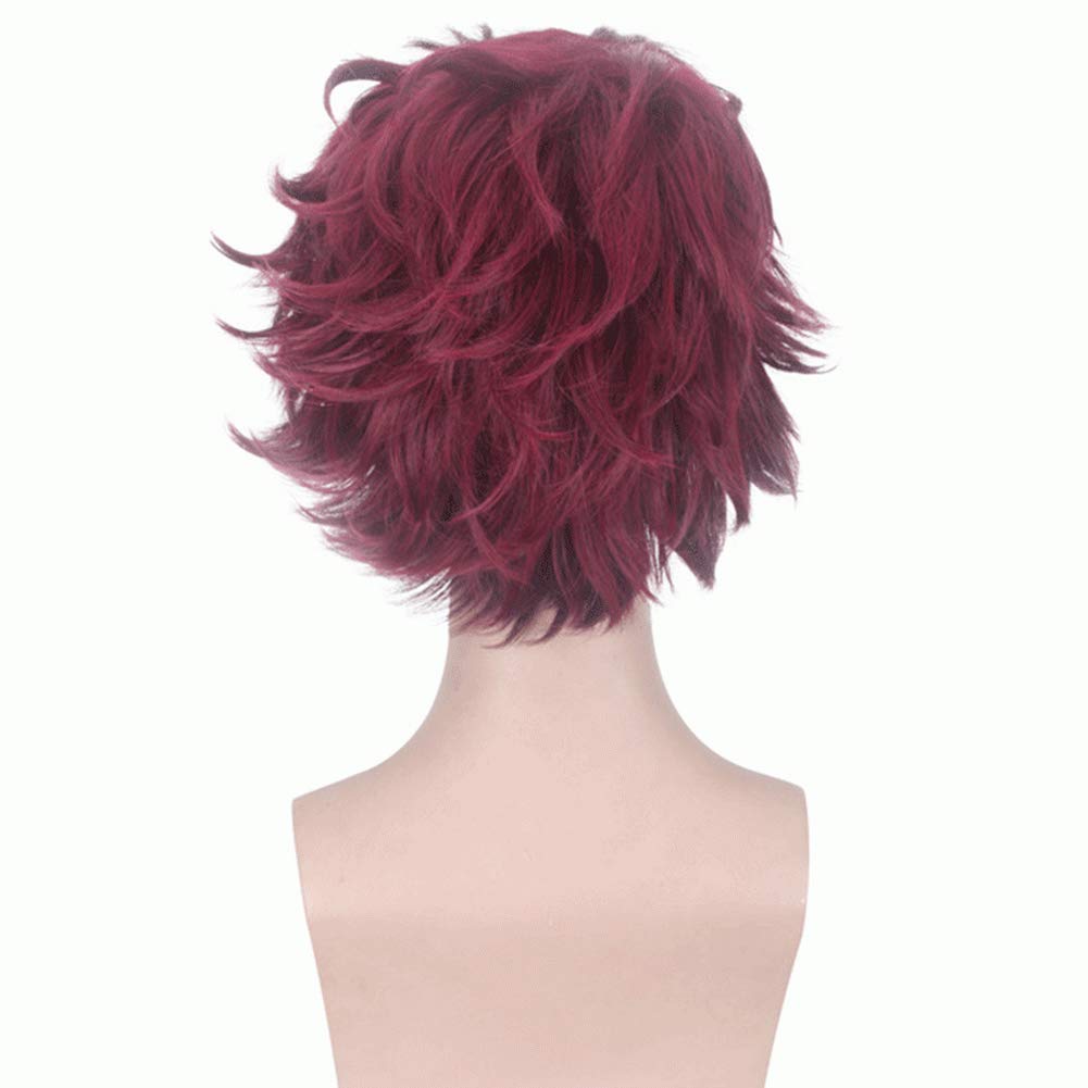 ٻҾ5 ͧԹ : ԡѹ ԡ ѹ ҺԦҵ Kamado Tanjiro Kimetsu no Yaiba or Demon Slayer Cosplay wig ԡΌ 