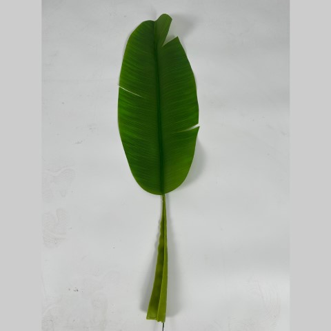 �ٻ�Ҿ���5 �ͧ�Թ��� : ++�������++�ش�ҧ�ҹ� �ػ�ó�Ѵ��� �� ⨧���ູ 㺵ͧ���� ���Ҵ������� ����Ѵ